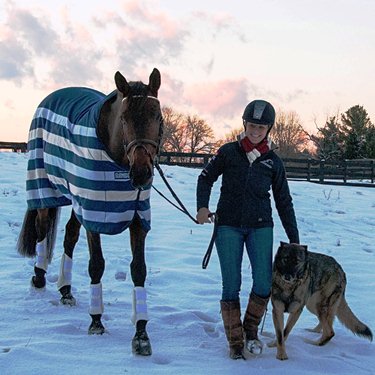 Lynn-horse-dog-snow375.jpg